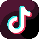 Igor Dimitrijević TikTok profile